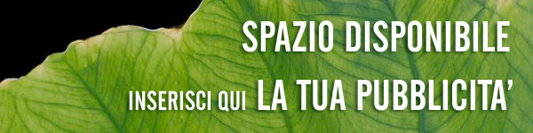 corso per assistente notarile